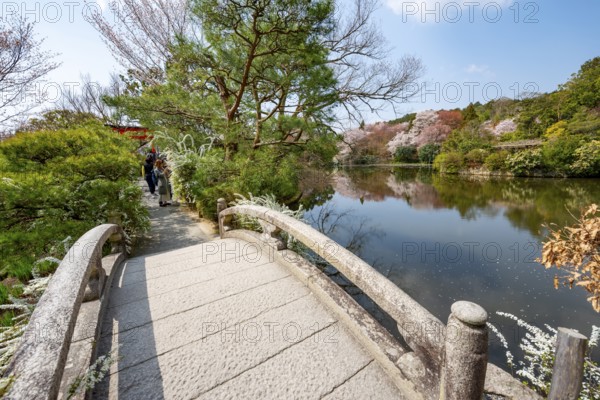 Bridge over Kyoyochi Pond in Japanese Garden, blooming cherry trees, Ryoan-ji, Zen Buddhist temple complex, in spring, Kyoto, Japan