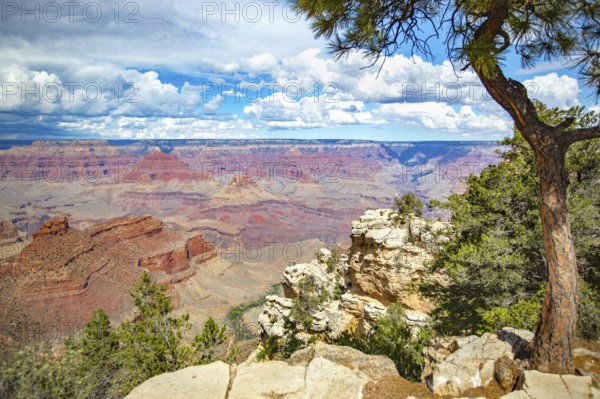 Beautiful landscape of the grand canyon, arizona