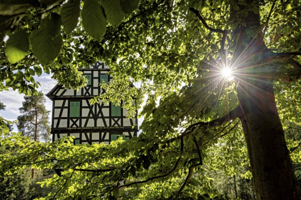 Half-timbered house surrounded by lush greenery and sunbeams falling through the canopy, quiet atmosphere, The Herzogstuhl in the Saale Holzlandkreis district in Thuringia