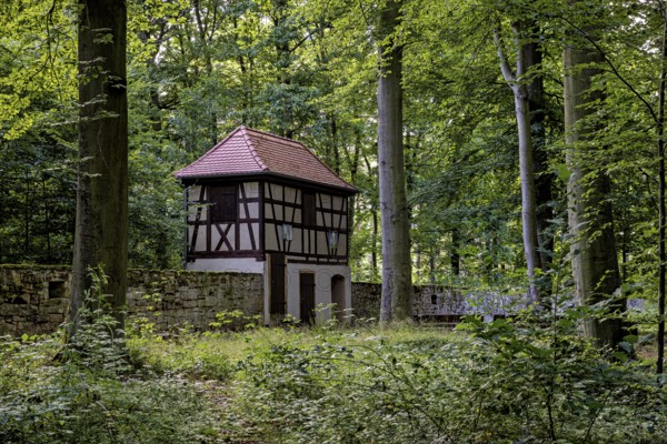 Historic half-timbered house in a dense forest, surrounded by a stone wall and lush greenery, The Riesenecke hunting complex in the Saale Holzland district in Thuringia