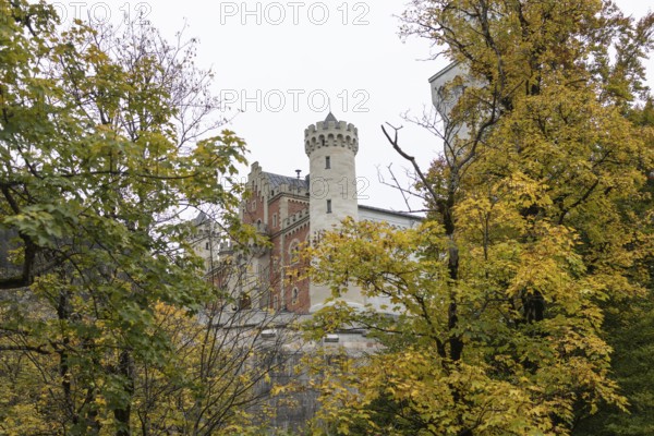 Neuschwanstein in autumn, Schwangau, Füssen, Allgäu, Bavaria, Germany