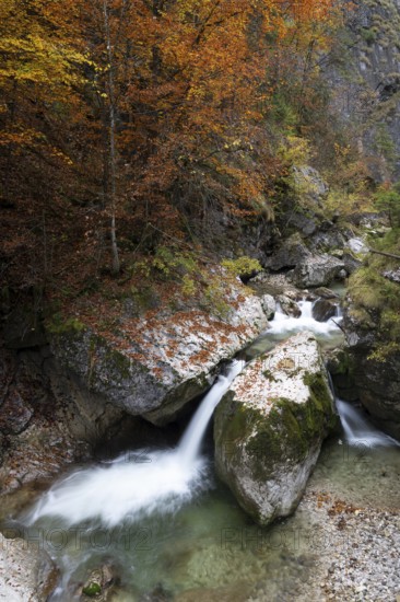 Stream in autumn in the Nothklamm, Gams, Palfau, Hieflau, Styria, Austria