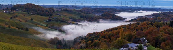 Sunrise, typical landscape in autumn with vineyards and fog, South Styrian hills, South Styrian wine route, Styria, Austria