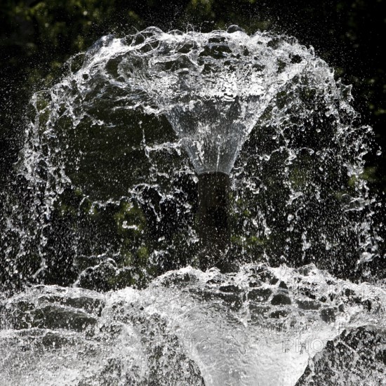 Water bell fountain in the spa garden, detail, Bad Homburg vor der Höhe, Hesse, Germany