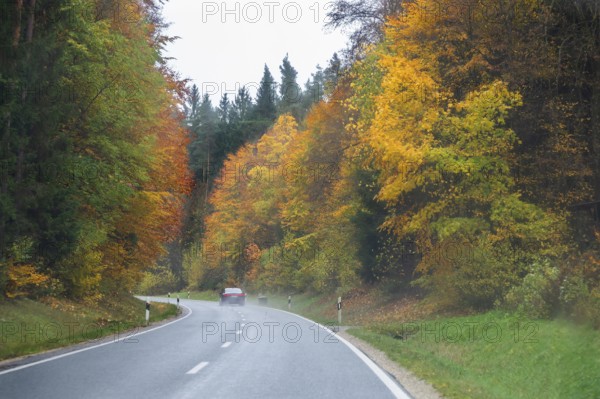Mixed forest in autumn colors in Franconia on the B2 Nuremberg-Bayreuth, Upper Franconia, Bavaria, Germany