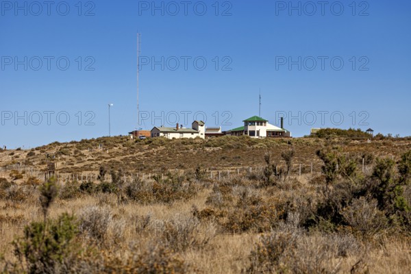 A secluded building on a hill with vegetation under a blue sky, The countryside of Peninsula Valdes in Argentina