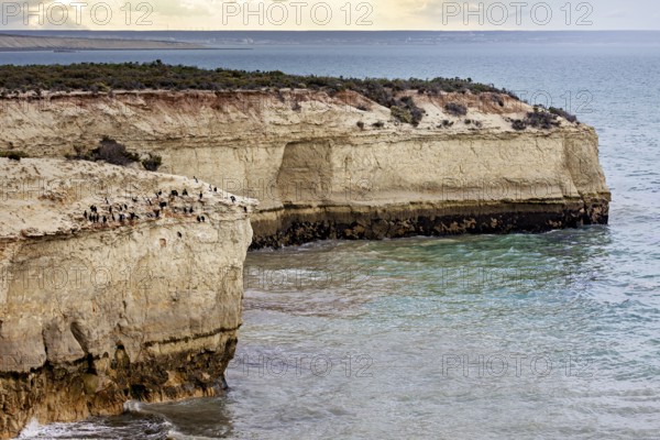 Rugged coastal landscape with high cliffs and calm sea under overcast sky, The landscape of Peninsula Valdes in Argentina