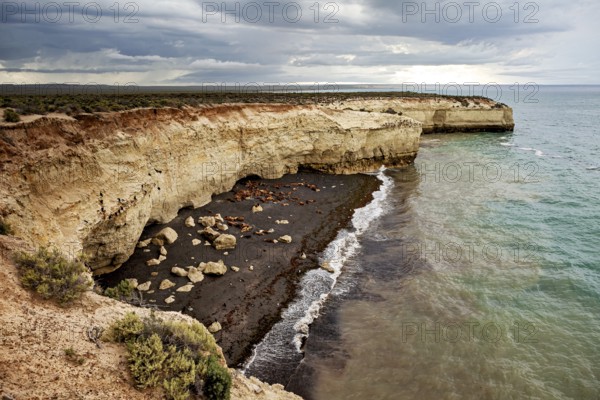 Rocky coastline with stormy sea and dramatic cliffs, The Maned Seals (Otaria flavescens) on Peninsula Valdes Beach in Argentina