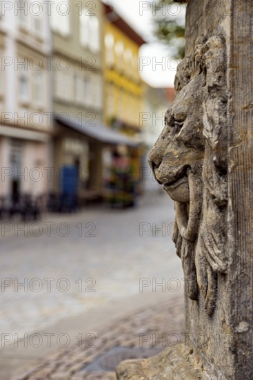 Close-up of a lion relief with blurred old town in the background, lion head at the fountain in the old town of Arnstadt in Thuringia