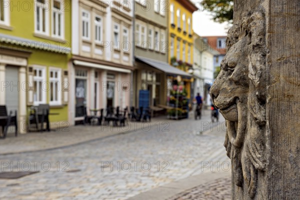 Stone lion relief in front of picturesque old town street with colorful houses, lion head at the fountain in the old town of Arnstadt in Thuringia