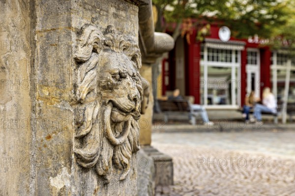 Stone lion relief with a lively, cozy square in the background, lion's head at the fountain in the old town of Arnstadt in Thuringia