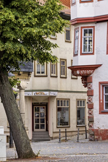 Summer day view of a historic street with distinctive facades and trees, The old town of Arnstadt in Thuringia