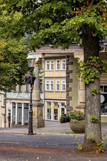 Street with trees and historic buildings, summer atmosphere in the old town, The old town of Arnstadt in Thuringia