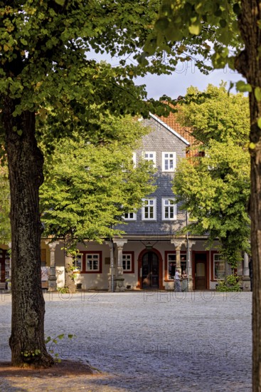 Cobblestone square surrounded by historic buildings and leafy trees, The old town of Arnstadt in Thuringia