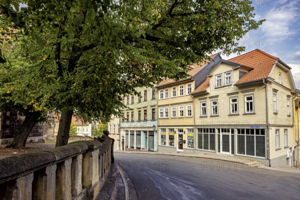 Street in the old town with trees and historic buildings on a sunny day, The old town of Arnstadt in Thuringia