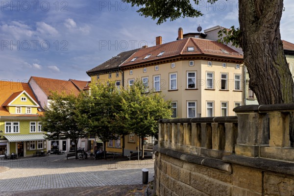 Historic buildings surround a square with colorful facades and a tree under a blue sky, the old town of Arnstadt in Thuringia