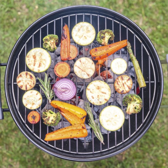 Cooking vegetables on grill outdoors, healthy lifestyle with healthy food, close up of grill with blurred background, soft golden light, picnic in the green park or garden, no people, AI generated