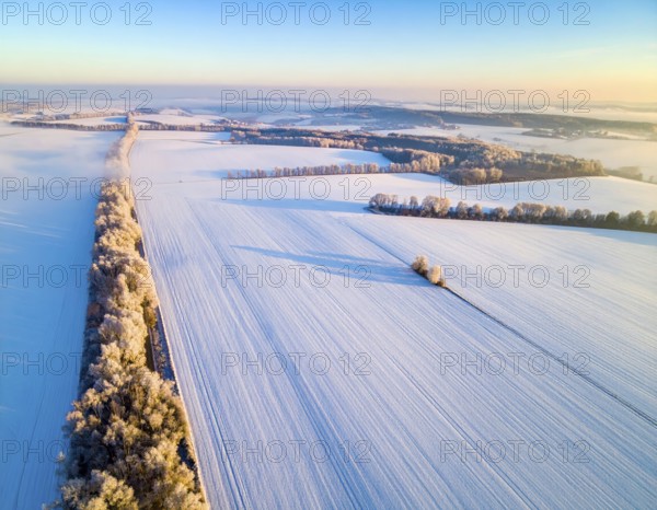 Bird Eye Perspective of Frost Covered Farmland. Seasonal Agricultural Scenery, winter and autumn scene, blue sky with golden light at sunrise, AI generated