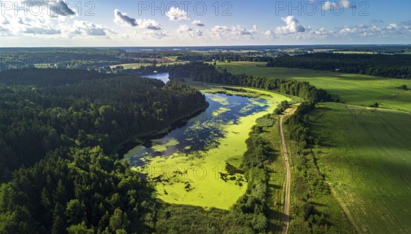 Green algae on the lake. Aerial view of nature, landscape with hills and forest in summer, cloudy sky, golden light at sunset, AI generated