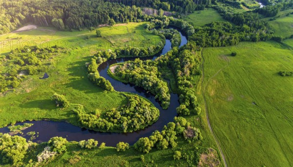 Ecology and environment concept. Green wilderness nature from above. Aerial view on meandering river landscape with trees and meadows. Healthy nature with tranquil atmosphere, AI generated
