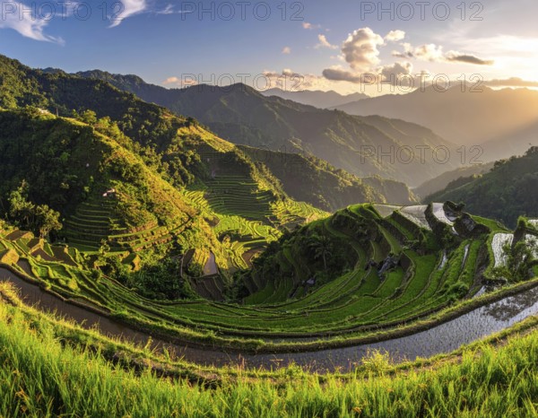 Early morning light bathes Philippines rice terraces cascading down mountain slopes, beautiful golden light, AI generated