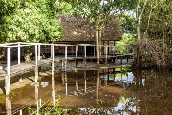 A rustic building in the jungle with a wooden bridge, surrounded by lush trees and water, The pampas swamps in the Amazon basin of Bolivia