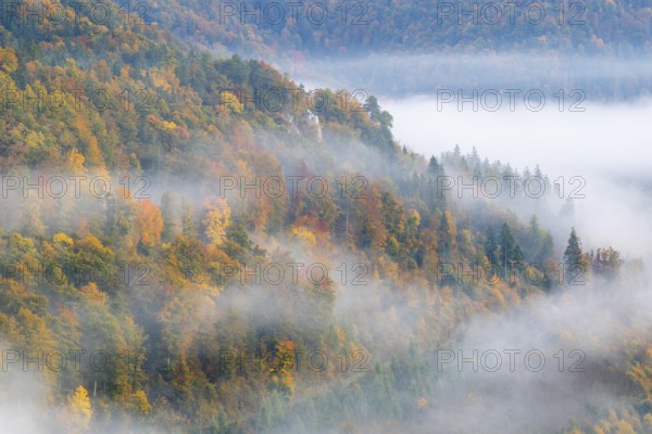 View from the Knopfmacherfelsen into the Danube valley, mixed forest, autumn colours, fog, autumn, Fridingen, Danube valley, Upper Danube nature park Park, Baden-Württemberg, Germany
