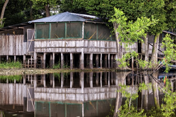 Rustic wooden huts stand on stilts by the water, surrounded by green trees, The pampas swamps in the Amazon basin of Bolivia