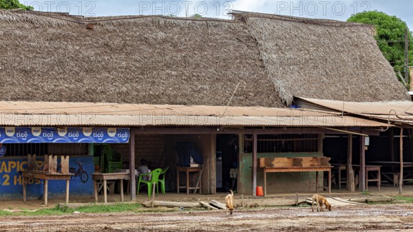 Simple shop front with thatched roof in a small tropical village, dogs running past, houses in a village in the pampas swamps of Bolivia