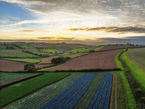 Fields and Farms at evening sun from a drone, Shaldon, Torquay, Devon, England, United Kingdom