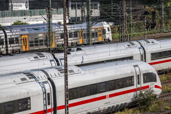 ICE trains on the railway line, RRX, Rhine-Ruhr-Express, regional train, north of Düsseldorf main station, North Rhine-Westphalia, Germany