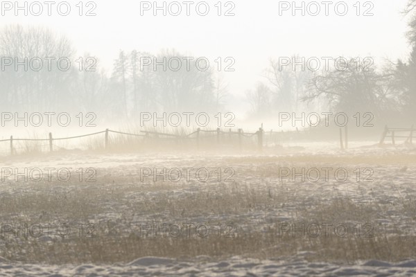 Winterlandschaft, aufsteigender Bodennebel im Licht der Morgensonne, Nordrhein-Westfalen, Deutschland
