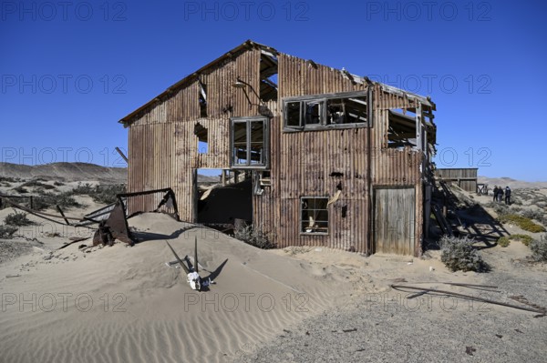 Schädel einer Oryx-Altilope (Oryx gazella) vor einer Ruine der ehemaligen Diamantenstadt Pomona, Diamentensperrgebiet, bei Lüderitz, Region Karas, Namibia