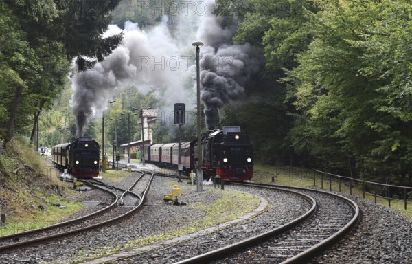 Steam locomotive, steam locomotives double exit on the Harz Narrow Gauge Railway, HSB, in the Harz Mountains near Eisfelder Talmühle, Thuringia, Germany