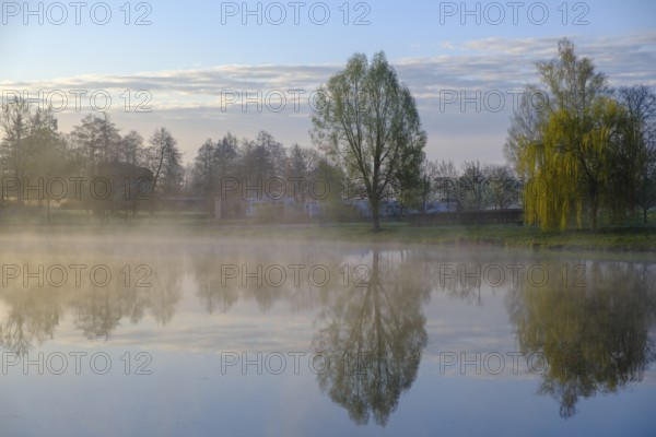 Morning atmosphere, fog at the Fischhof, Tirschenreuth, Upper Palatinate, Bavaria, Germany