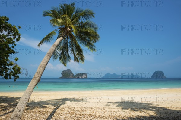 White sandy beach and coconut palms, Sunrise Beach, Koh Great white shark, Ko Ngai, Krabi Province, Trang, Southern Thailand, Andaman Sea, Thailand