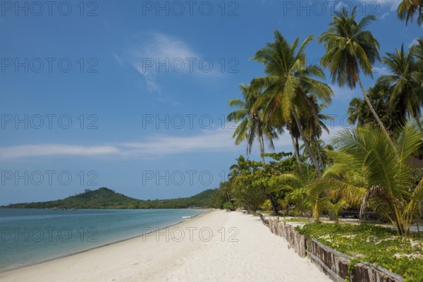 White sandy beach and coconut palms, Pearl Beach, Koh Mook, Trang Province, Southern Thailand, Andaman Sea, Thailand