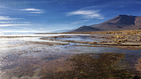 Vast steppe landscape with mountains in the background under a clear sky, The thermal springs of Polques in Bolivia