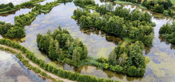 Aerial view, islands in the Drau, river, Brenndorf bird sanctuary, Carinthia, Austria