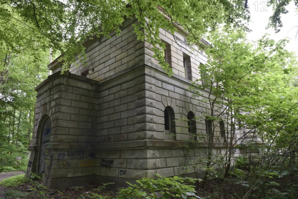 Ruin, castle ruin of Dwasieden Castle on Rügen, Mecklenburg-Western Pomerania, Germany