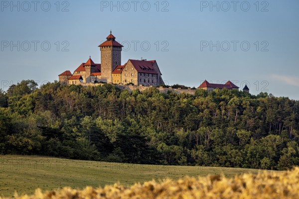 Medieval castle enthroned on a wooded hill above a golden field under a blue sky, Wachsenburg Castle in Thuringia near Erfurt