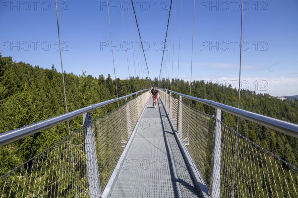 Wildline Bad Wildbad: The pedestrian suspension bridge is 380 metres long and 60 metres high. It was opened as a tourist attraction in 2018