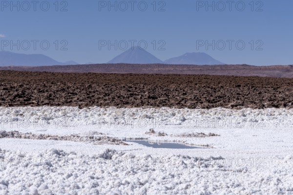 Coloured salt formations at the Lagunas Escondidas de Baltinache, Atacama Desert, Toconao, San Pedro de Atacama, Región de Antofagasta, Chile