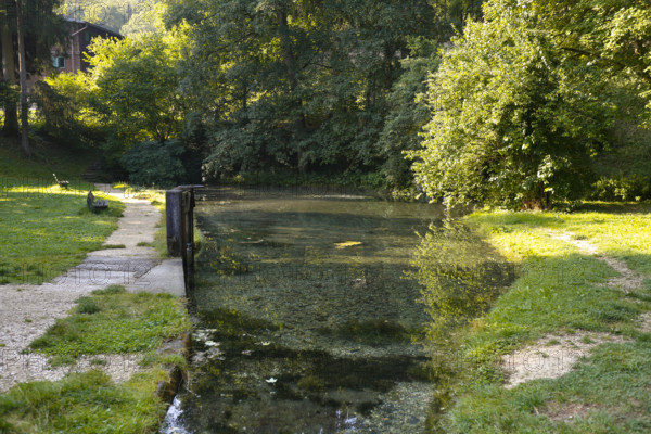 Lauter spring, Große Lauter, karst spring, body of water, park, idyll, meadow, lawn, trees, Offenhausen, municipality of Gomadingen, Swabian Alb, Baden-Württemberg, Germany