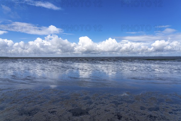 Wadden Sea between the Dutch coast near Eemshaven and the German North Sea island of Borkum, Wadden Sea National Park, UNESCO World Heritage Site, low tide, low water, clouds