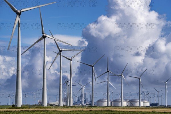 Wind farms Westereems and Growind, in the north of the Netherlands, near Eemshaven, energy centre, in addition to wind energy there are coal and gas-fired power plants and various energy infrastructure facilities, Netherlands