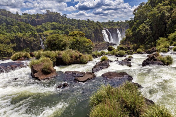Wild water flows over rocks in green surroundings with a waterfall in the background, The Iguazu Falls between Argentina and Brazil