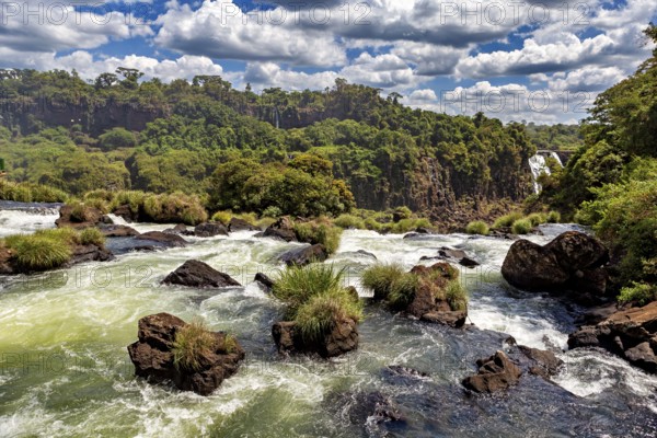 Stones and bushes in a fast-flowing river with wooded slopes in the background, The Iguazu Falls between Argentina and Brazil