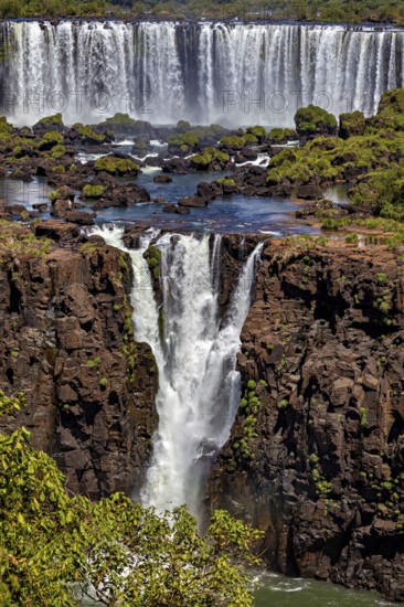 Impressive height difference of a waterfall surrounded by vegetation, The Iguazu Falls between Argentina and Brazil