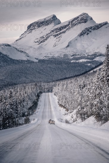 Winter road trip on the Icefields Parkway with lots of snow and ice, Banff National Park, Jasper National Park, Alberta, Canada